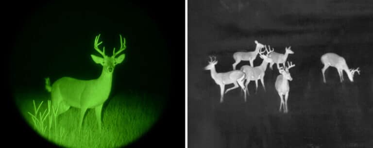 Hunting Night Vision Monocular: The Pros and Cons