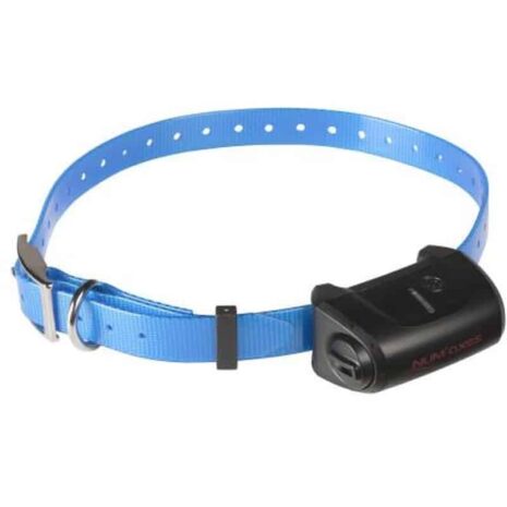 numaxes-canicom-5-blue-strap-receiver-collar.jpg